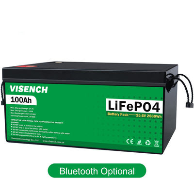 Visench Rechargeable Lithium Ion Batteries 24V Lifepo4 100Ah 24 Volt Phosphate Lithium Batteries Batterie Solaire Pack